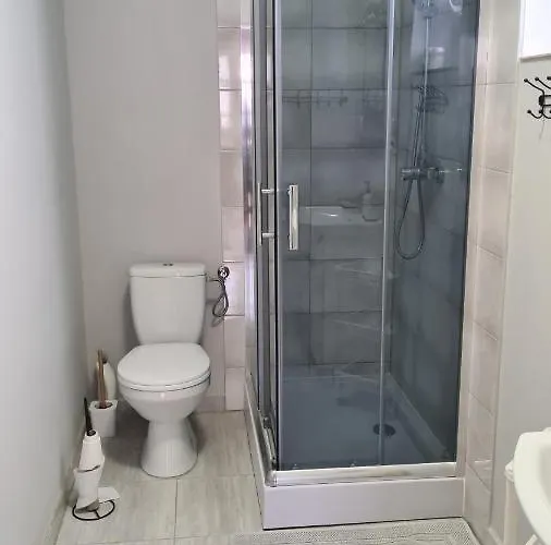 Polna 40 * זדוני